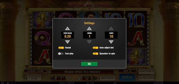 A screenshot of the stake customization options we found during our Book of Dead slot review