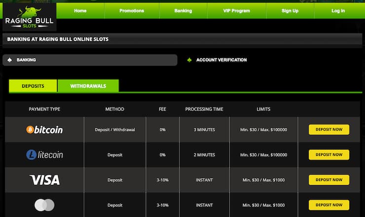 An image of the banking options page from our Raging Bull Casino review