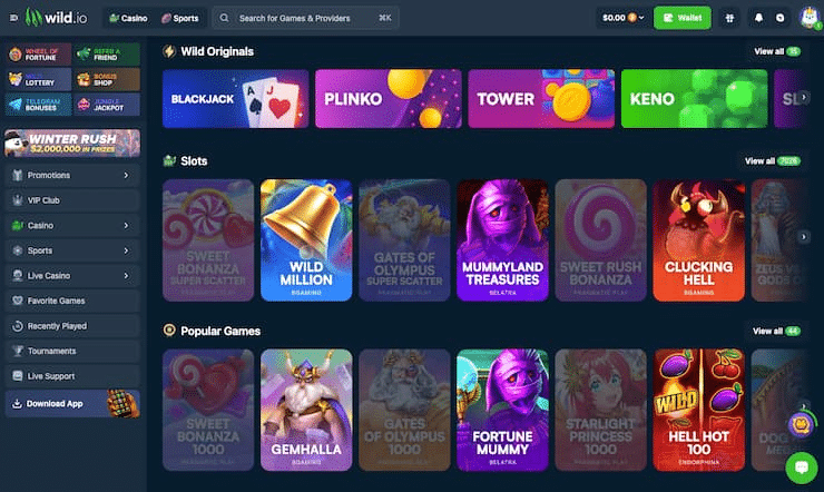Wild.io review screenshot showing the casino lobby and welcome bonus promotions