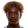 Michael Olise Michael Olise