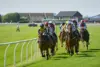 Jockeys racing on horses at a UK horse racing event with green grass track.
