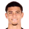 Miles Robinson