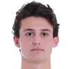 Brenden Aaronson