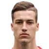 Luka Sucic Luka Sucic