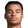Cody Gakpo Cody Gakpo