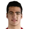 Mikel Merino