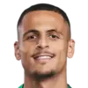 Ali Al-Hamadi