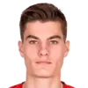 Patrik Schick