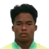 Endrick Endrick