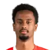 Ali Ahmed Ali Ahmed