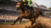 Thoroughbred racehorse galloping in final stretch at Saratoga Race Course during Belmont Stakes