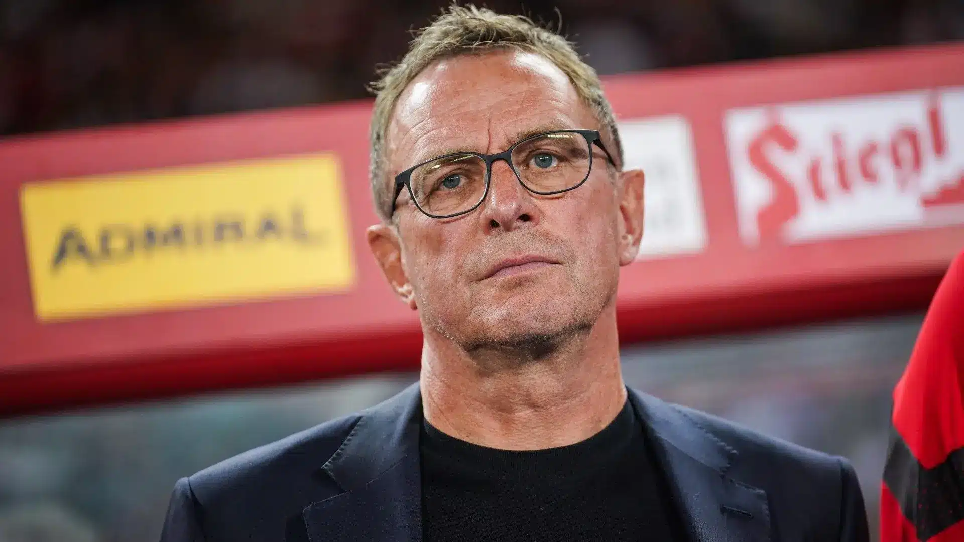 Ralf Rangnick, the coach of Austria, at a football match.