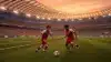 SoFi Stadium during FIFA World Cup match between Belgium and Iran at golden hour