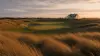 Shinnecock Hills golf course with windswept fescue and challenging bunkers at golden hour