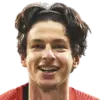 Enis Destan