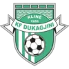 Dukagjini