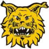 Ilves