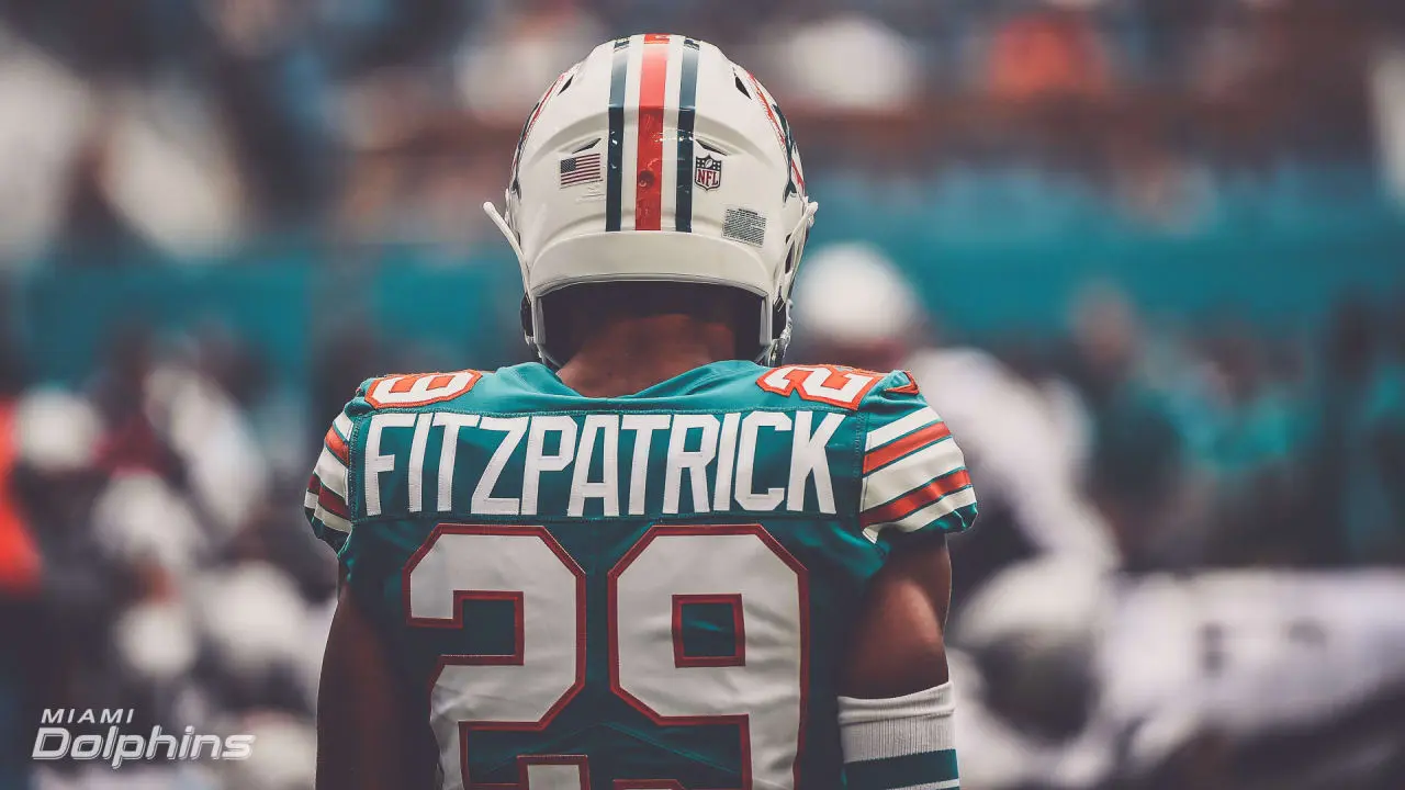Back view of Minkah Fitzpatrick wearing a Miami Dolphins jersey with the name Fitzpatrick and number 29